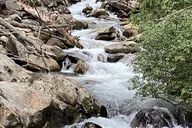 Great Smoky Mountains Hiking Tour thumbnail 6
