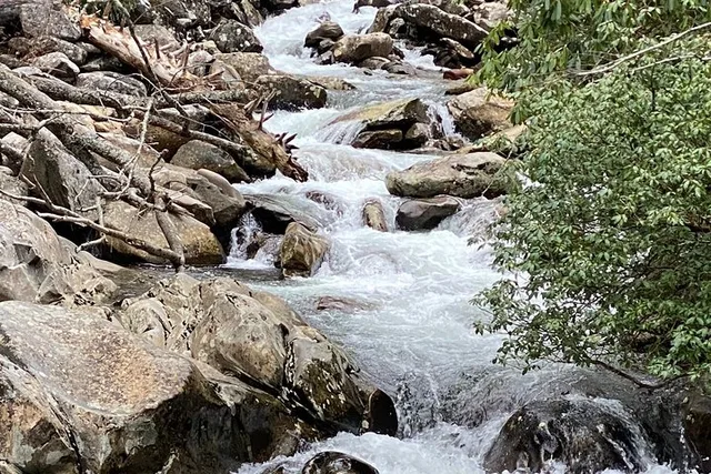 Great Smoky Mountains Hiking Tour - Image 6
