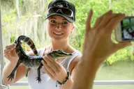 New Orleans Swamp and Bayou Alligator Tour thumbnail 6