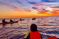 Cocoa Beach Bioluminescence Kayak Tour at Sunset thumbnail 1