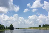 Orlando Airboat Ride and Wildlife Park Tour thumbnail 5