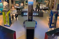 Washington DC Smithsonian Museum of Natural History Tour 2 hr thumbnail 2
