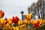 Niagara Falls Boat Cruise from Canada thumbnail 4