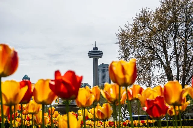 Niagara Falls Boat Cruise from Canada - Image 4
