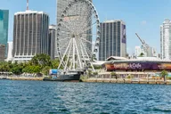 Miami Sightseeing Speedboat Tour thumbnail 6