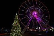 Branson Christmas Light Tour thumbnail 2