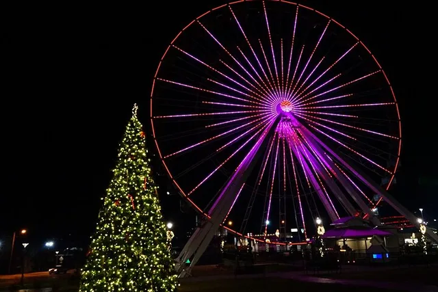 Branson Christmas Light Tour - Image 2
