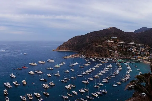 Avalon Ferry to Newport Beach - Image 5