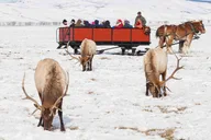 Jackson Hole Wildlife Safari Tour thumbnail 2