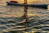 Miami Paddle Board Tour to Monument & Star Island 2 hr thumbnail 1
