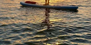 Miami Paddle Board Tour to Monument & Star Island 2 hr