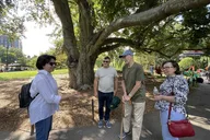 Boston Walking Tour of Beacon Hill and Freedom Trail thumbnail 6