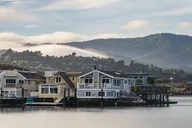 San Francisco Redwoods and Sausalito Private Tour thumbnail 4