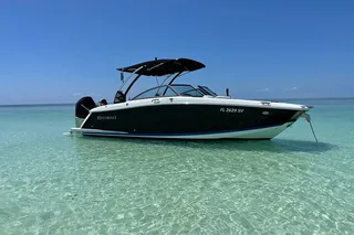 Key Largo Dolphin Tour 60 Min