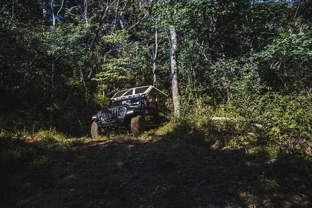 Smoky Mountains Roaring Fork Sightseeing Jeep Tour - Image 2
