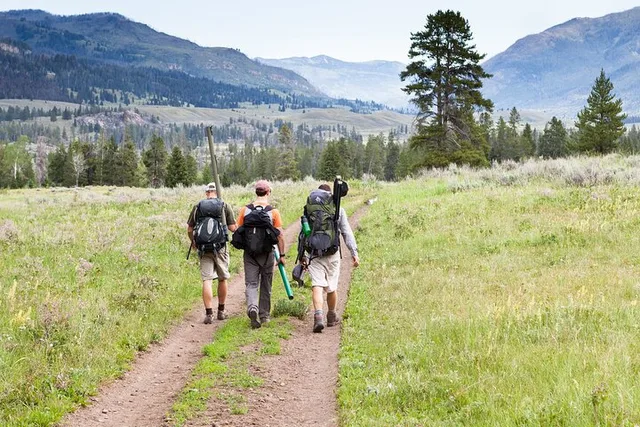 Yellowstone Slough Creek Naturalist Hike - Image 5