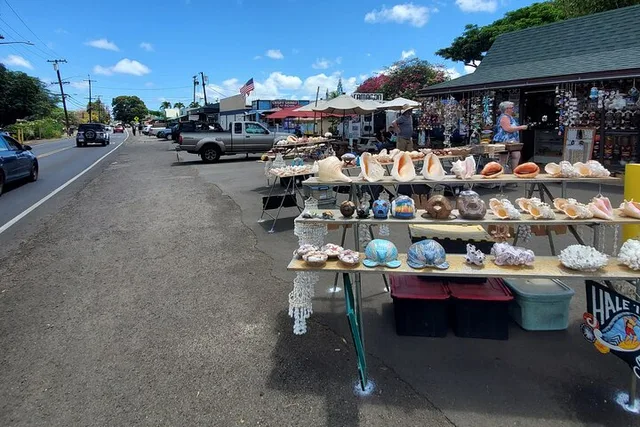 Waikiki to Haleiwa Shuttle Tour - Image 5