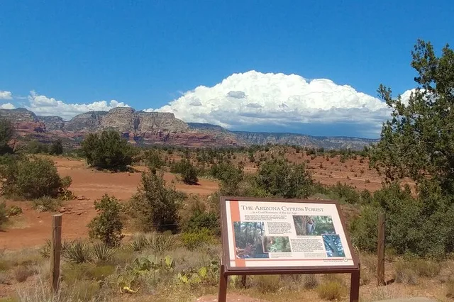 Sedona Spirit Journey and Vortex Tour 4 hr - Image 5