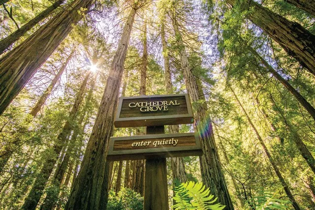 San Francisco Muir Woods and Sausalito Tour with Hop-On Hop-Off - Image 1