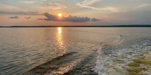 Orange Beach Dolphin Eco Cruise at Sunset - Image 1