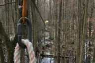 Virginia Beach Wetland Zip Tour 90 min thumbnail 1