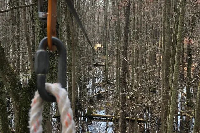 Virginia Beach Wetland Zip Tour 90 min - Image 1