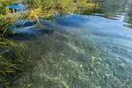 San Marcos Clear Kayak Adventure thumbnail 4