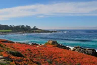 San Jose Monterey and Big Sur Tour thumbnail 6