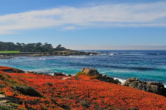 San Jose Monterey and Big Sur Tour - Image 6