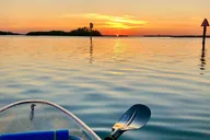 Tampa Bay Clear Kayak Tour of Shell Key Preserve thumbnail 5