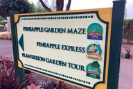 Honolulu Private Limousine Tour of Dole Plantation and North Shore thumbnail 6