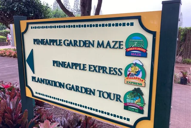 Honolulu Private Limousine Tour of Dole Plantation and North Shore - Image 6