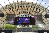 Las Vegas Pool Party Tour thumbnail 4
