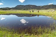Yellowstone Naturalist Day Hike thumbnail 6