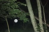 St. Augustine Paranormal Investigation Tour thumbnail 3