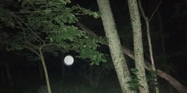 St. Augustine Paranormal Investigation Tour - Image 3