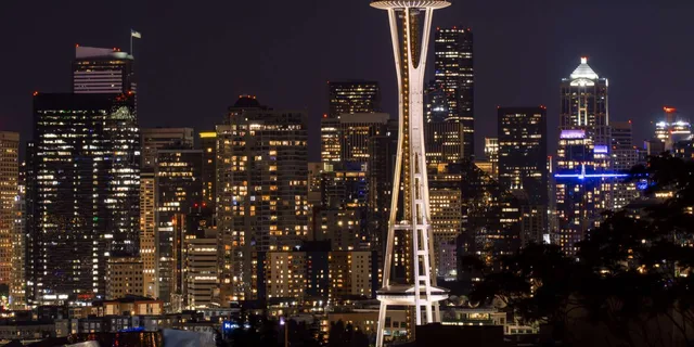Seattle Night Tour with Space Needle and Skywheel - Image 1