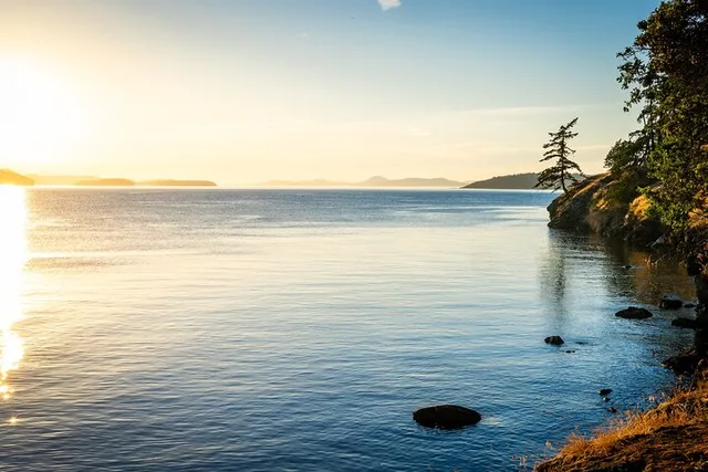 San Juan Islands Bioluminescence Kayak Tour - Image 6