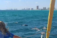 Panama City Beach Dolphin Sightseeing Catamaran Tour thumbnail 2