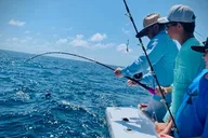 Panama City Beach Deep Sea Fishing Trip thumbnail 4