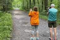 Oconaluftee Scenic Valley Tour thumbnail 3