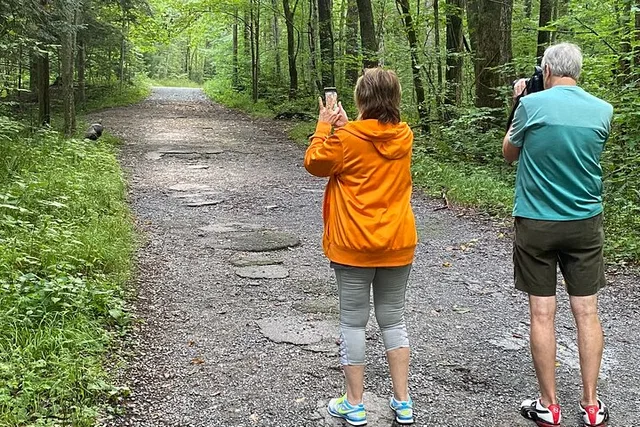 Oconaluftee Scenic Valley Tour - Image 3