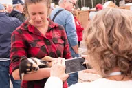 Skagway Yukon Adventure Tour with Puppies and Bridge thumbnail 6