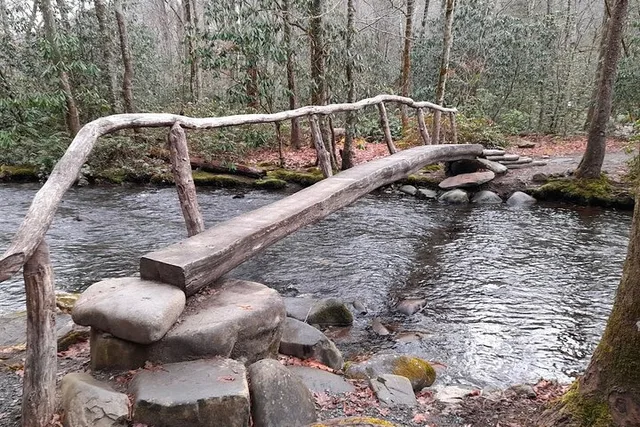 Great Smoky Mountains National Park Driving Tour - Image 5