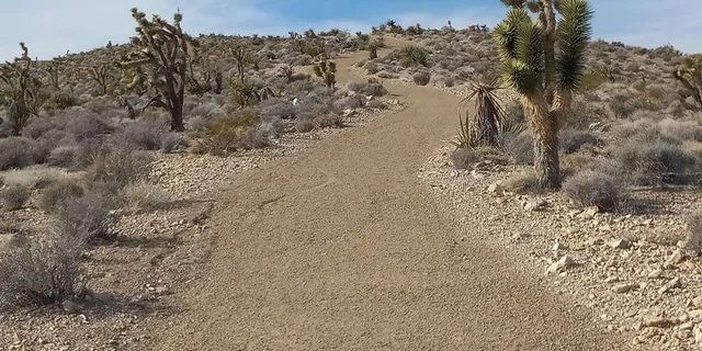 Las Vegas ATV Tour Adventure - Image 3