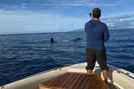 Ma'alaea Humpback Whale Watching Cruise 2 hr thumbnail 4