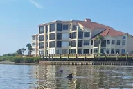 New Smyrna Mangrove Paddle & Mimosa Tour thumbnail 5