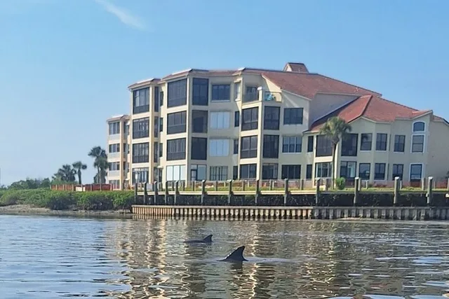 New Smyrna Mangrove Paddle & Mimosa Tour - Image 5