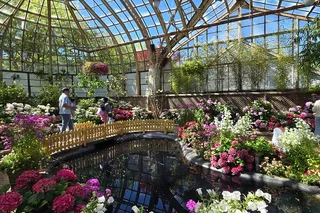 Chicago Walking Tour of Lincoln Park Nature Museum & Zoo