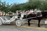 Galveston Historic Carriage Tour thumbnail 2